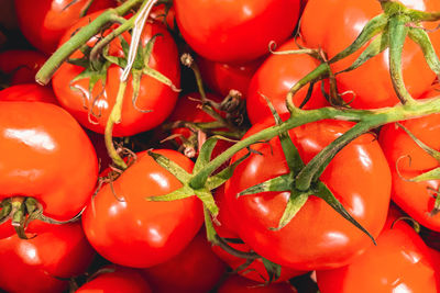 Ripe red tomatoes at farmers market. selling organic vegetables in the supermarket. 