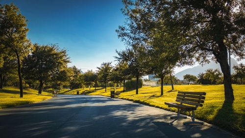 Empty road amidst trees against clear sky