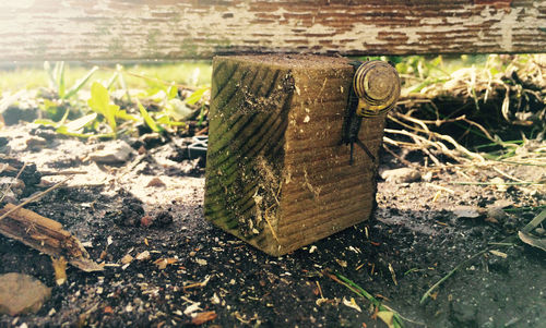 Close-up of wooden plank