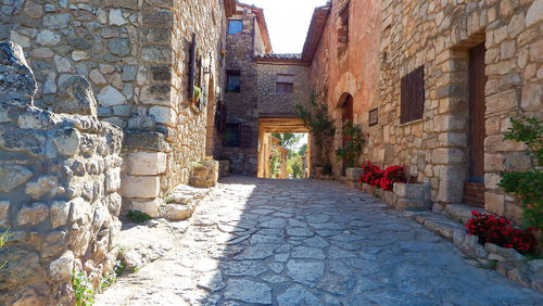 Narrow alley amidst buildings in city