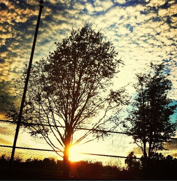 sunset, sun, silhouette, tree, sky, orange color, scenics, beauty in nature, tranquility, tranquil scene, sunlight, nature, idyllic, cloud - sky, sunbeam, back lit, bare tree, lens flare, landscape, cloud