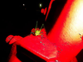 Close-up of illuminated lights at night