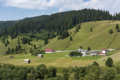 Scenic view of trees and houses against sky