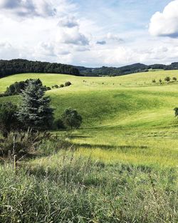 Scenic view of field against sky