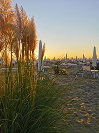 Scenic view of sea against clear sky during sunset