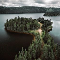 Scenic view of lake by trees against sky