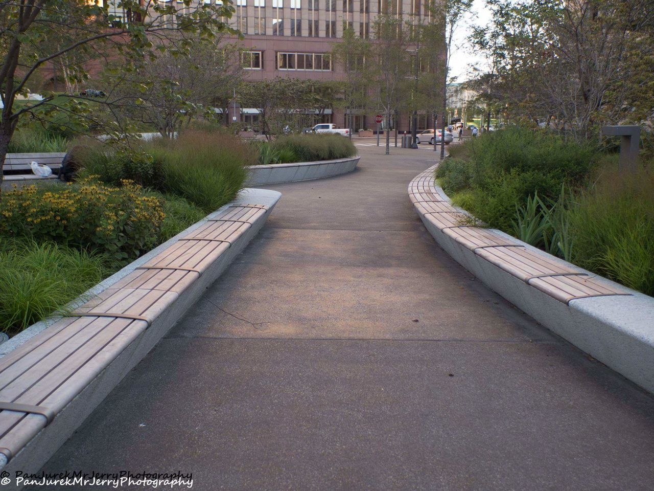 architecture, plant, built structure, tree, building exterior, direction, footpath, building, city, nature, the way forward, no people, outdoors, day, transportation, growth, diminishing perspective, residential district, park, grass, apartment