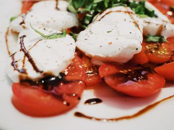 Close-up of served food in plate