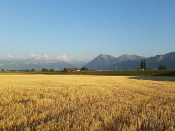 Scenic view of field in front of mountains against clear sky