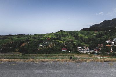 Plants growing on field by building against sky