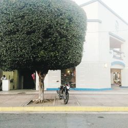 Bicycle on sidewalk by building in city