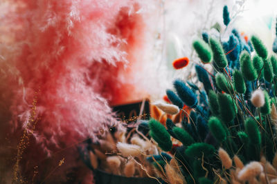 Full frame shot of feather on plant