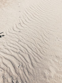 Full frame shot of sand dune