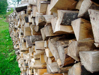 Stack of logs in forest