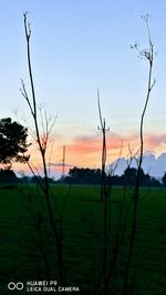 Scenic view of field against sky during sunset