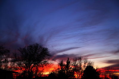 Silhouette trees against sky at sunset