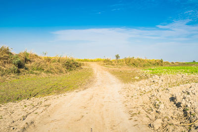 Dirt road amidst land against sky