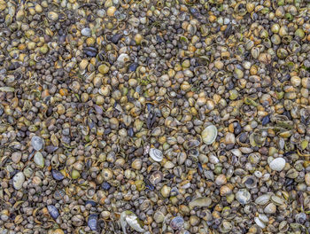 Full frame shot of pebbles