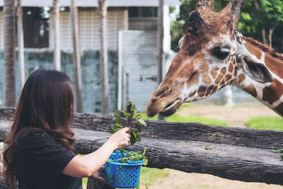 Full length of girl with arms raised in zoo