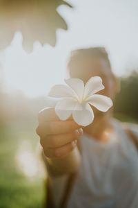 Close-up of hand holding flower