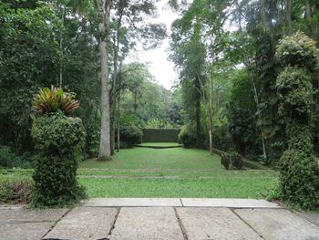 Footpath in park