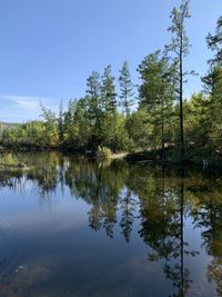 Reflection of trees in lake against sky