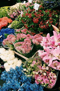 Close-up high angle view of flowers