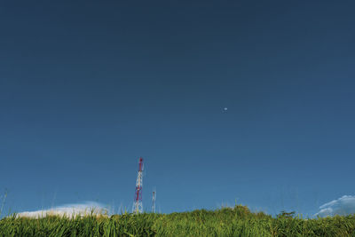 Scenic view of field against clear blue sky