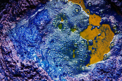 Full frame shot of a cat on rock