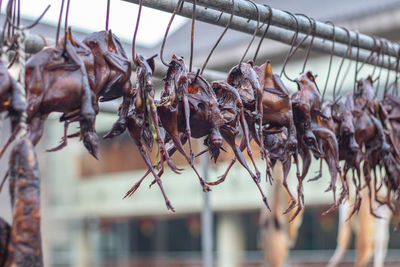 Various sun-dried meat