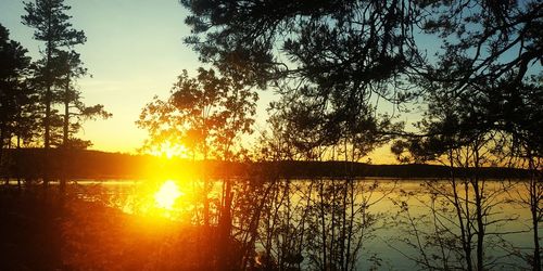 Silhouette trees by lake against sky during sunset