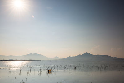 Scenic view of lake against sky during sunset
