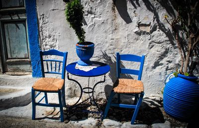 Potted plant on table amidst empty chairs outside house