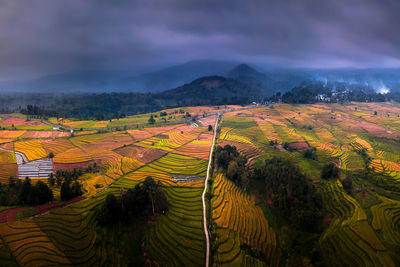 Scenic view of agricultural field against sky