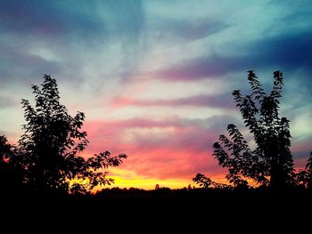 Silhouette of tree against cloudy sky