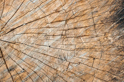 Full frame shot of cracked wood