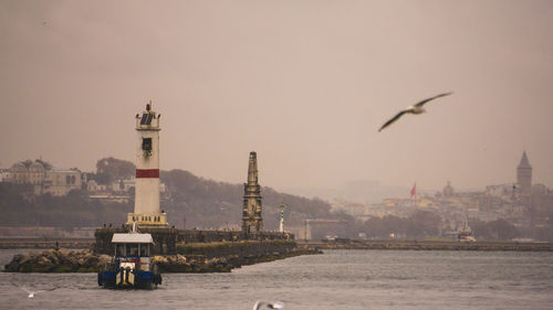 Bird flying over sea with buildings in background