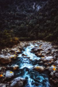 River flowing through rocks in forest