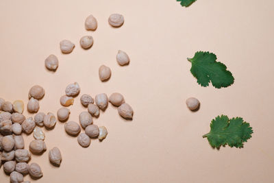 High angle view of candies on table