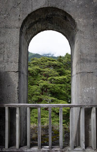 Arch bridge in park