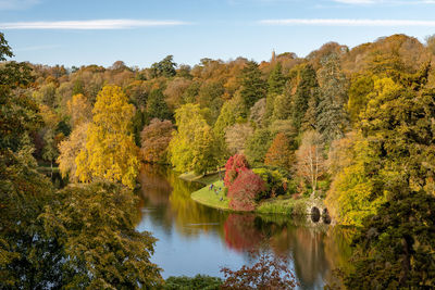 Scenic view of lake by trees during autumn