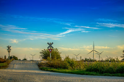 Road by trees against blue sky