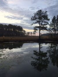 Reflection of trees in lake against sky