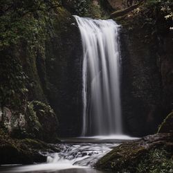 Scenic view of waterfall in forest