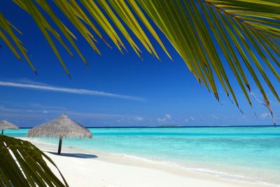 Scenic view of beach against blue sky