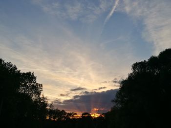 Low angle view of silhouette trees against sky