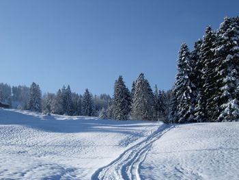 Tire track on snow covered field by trees against clear blue sky