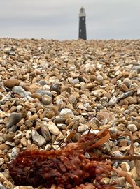 Close-up of stones on beach