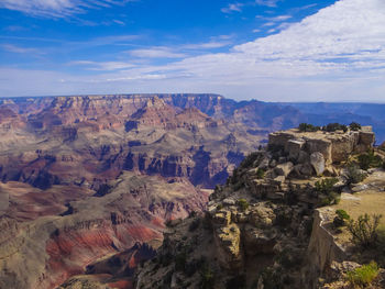 Photo of the wonderful landscape in grand canyon national park on a sunny summer afternoon