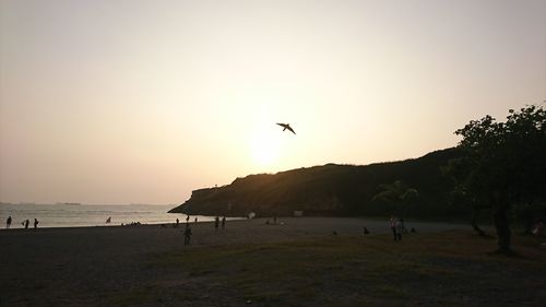 Silhouette birds flying over beach